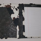 Journal Cover