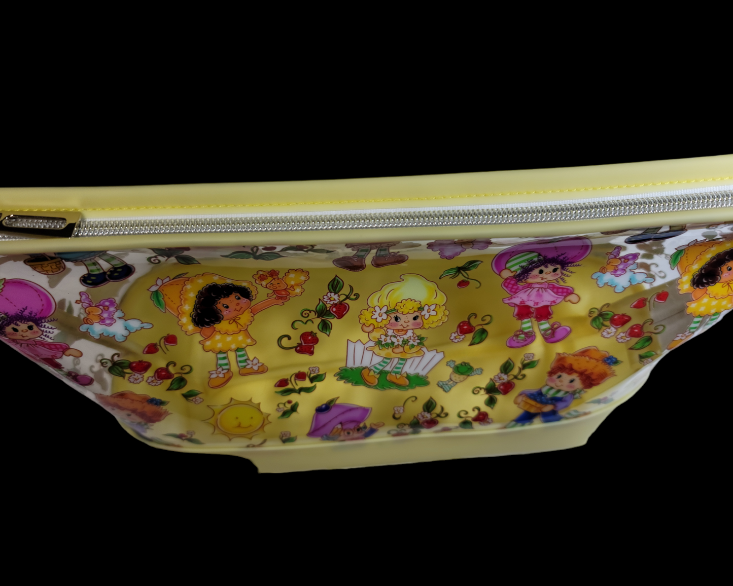 Cosmetic/Toiletry Bag